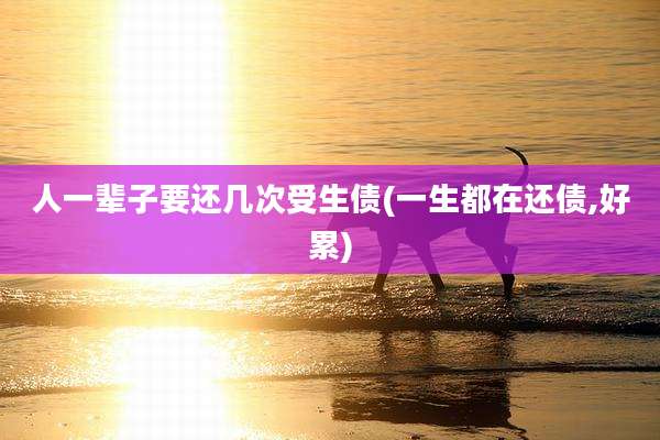 人一辈子要还几次受生债(一生都在还债,好累)
