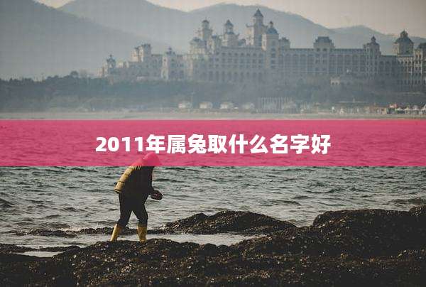 2011年属兔取什么名字好