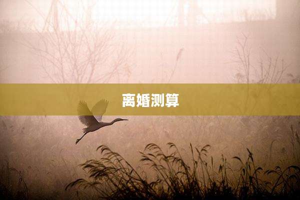 离婚测算