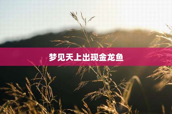 梦见天上出现金龙鱼