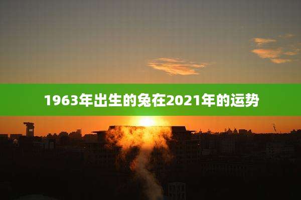 1963年出生的兔在2021年的运势