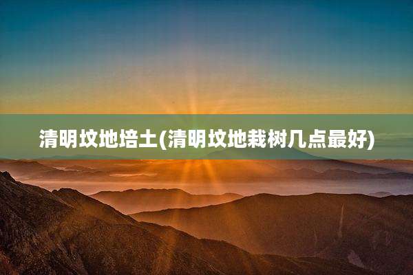 清明坟地培土(清明坟地栽树几点最好)
