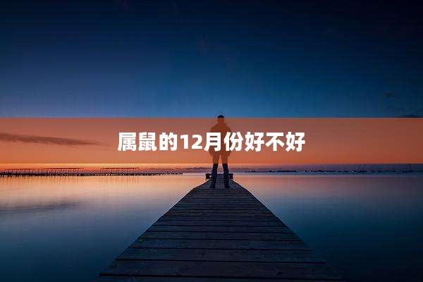 属鼠的12月份好不好