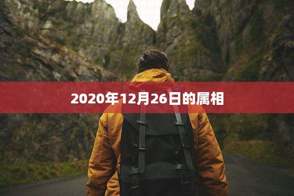 2020年12月26日的属相