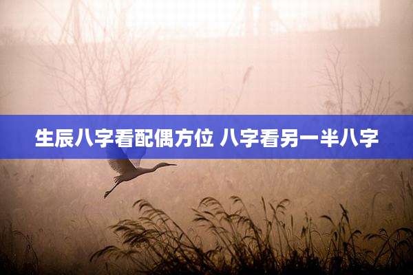 生辰八字看配偶方位 八字看另一半八字