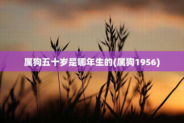 属狗五十岁是哪年生的(属狗1956)