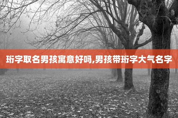 珩字取名男孩寓意好吗,男孩带珩字大气名字