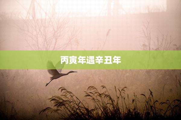 丙寅年遇辛丑年