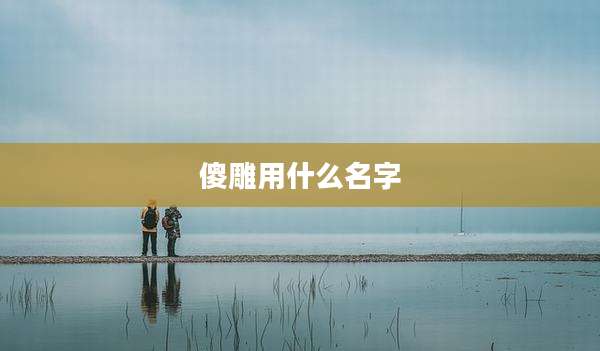 傻雕用什么名字