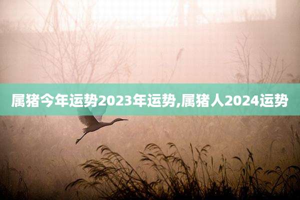 属猪今年运势2023年运势,属猪人2024运势