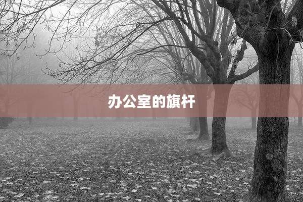 办公室的旗杆
