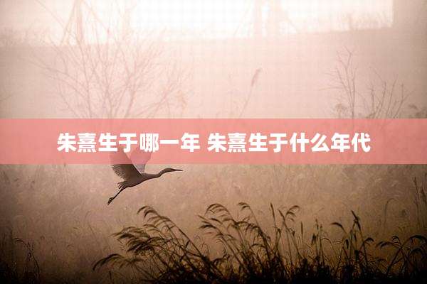 朱熹生于哪一年 朱熹生于什么年代