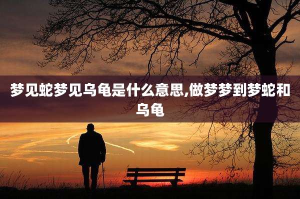 梦见蛇梦见乌龟是什么意思,做梦梦到梦蛇和乌龟