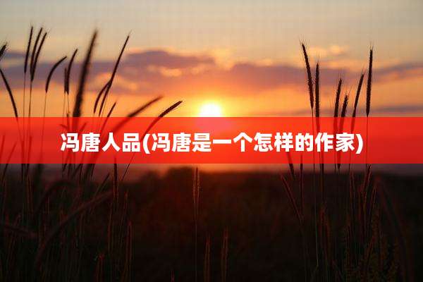 冯唐人品(冯唐是一个怎样的作家)