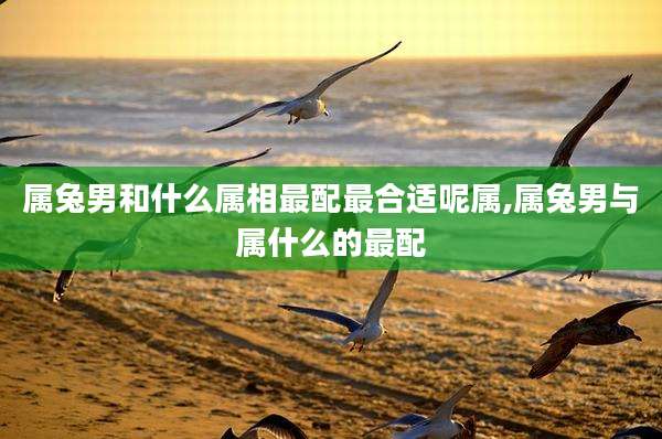 属兔男和什么属相最配最合适呢属,属兔男与属什么的最配