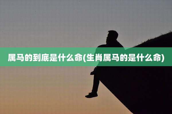 属马的到底是什么命(生肖属马的是什么命)