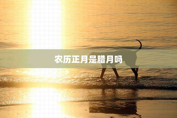 农历正月是腊月吗