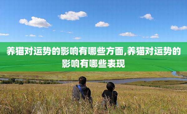 养猫对运势的影响有哪些方面,养猫对运势的影响有哪些表现