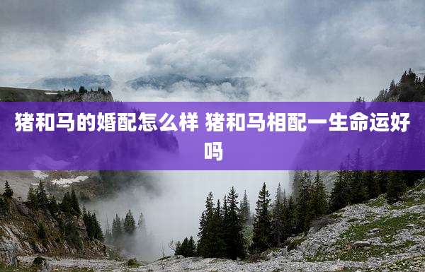 猪和马的婚配怎么样 猪和马相配一生命运好吗