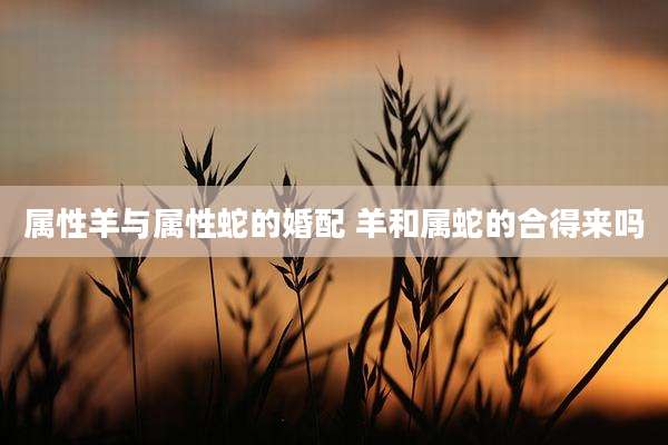属性羊与属性蛇的婚配 羊和属蛇的合得来吗