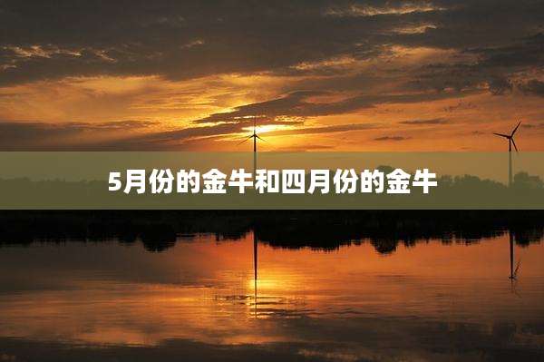 5月份的金牛和四月份的金牛
