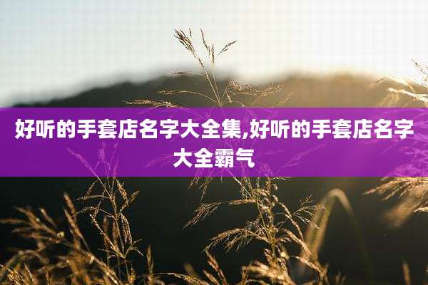好听的手套店名字大全集,好听的手套店名字大全霸气
