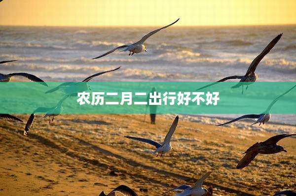 农历二月二出行好不好