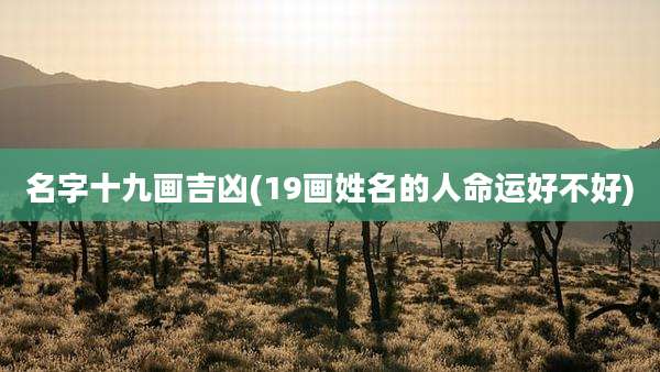 名字十九画吉凶(19画姓名的人命运好不好)