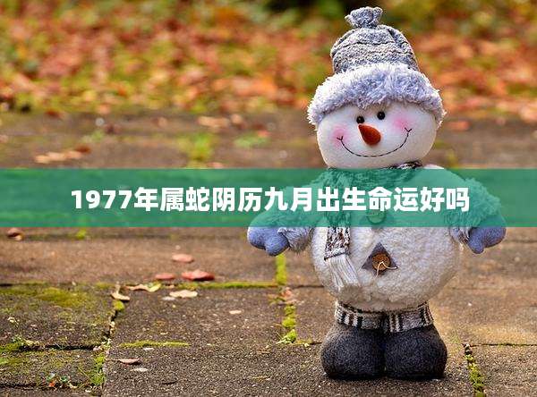 1977年属蛇阴历九月出生命运好吗