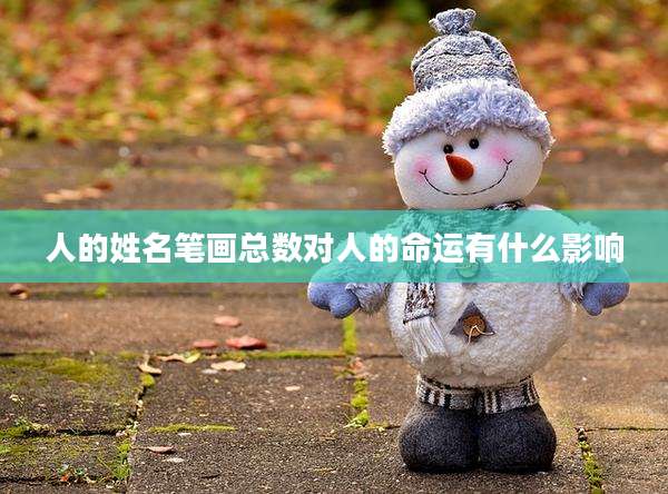 人的姓名笔画总数对人的命运有什么影响