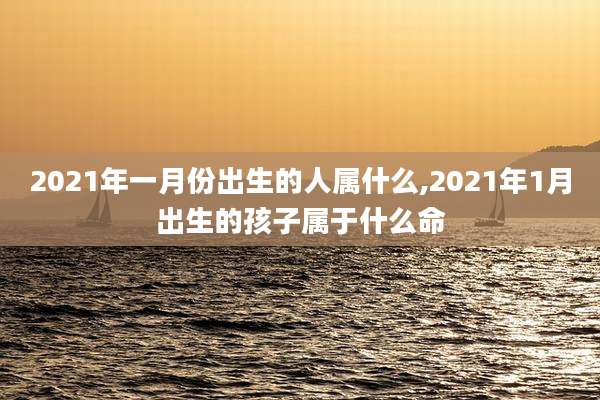 2021年一月份出生的人属什么,2021年1月出生的孩子属于什么命