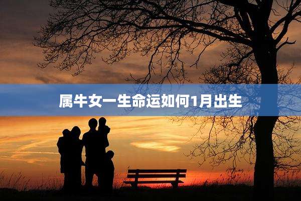 属牛女一生命运如何1月出生