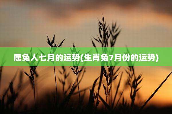 属兔人七月的运势(生肖兔7月份的运势)