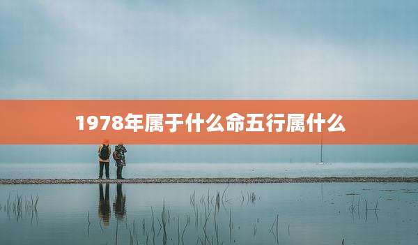 1978年属于什么命五行属什么