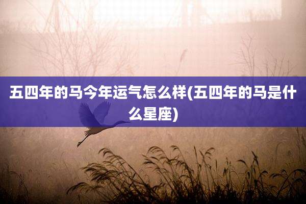五四年的马今年运气怎么样(五四年的马是什么星座)