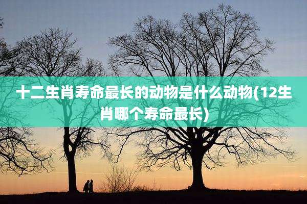 十二生肖寿命最长的动物是什么动物(12生肖哪个寿命最长)