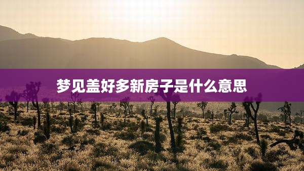 梦见盖好多新房子是什么意思