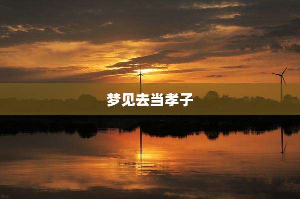 梦见去当孝子