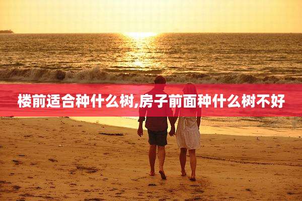 楼前适合种什么树,房子前面种什么树不好
