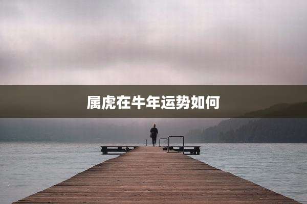 属虎在牛年运势如何