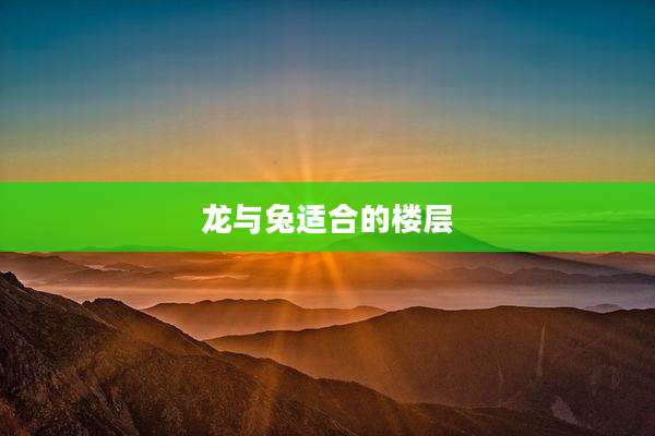 龙与兔适合的楼层