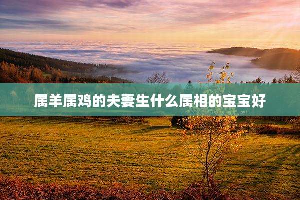 属羊属鸡的夫妻生什么属相的宝宝好