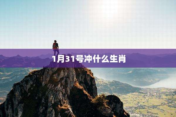 1月31号冲什么生肖