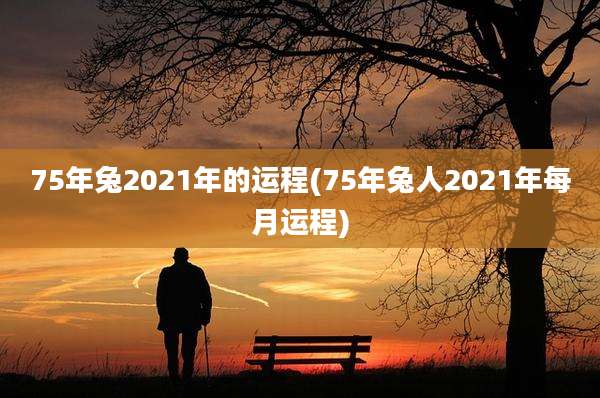75年兔2021年的运程(75年兔人2021年每月运程)