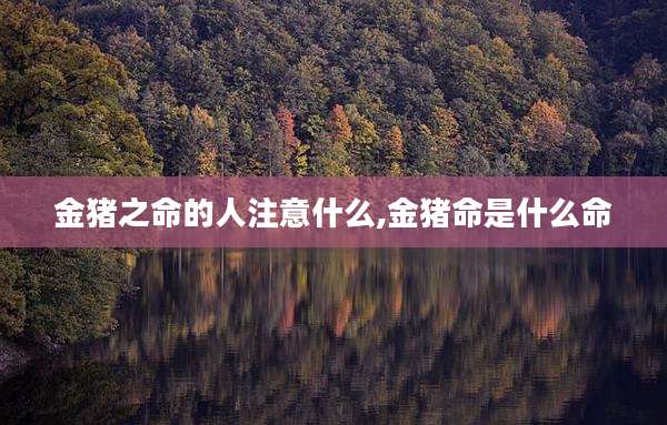 金猪之命的人注意什么,金猪命是什么命