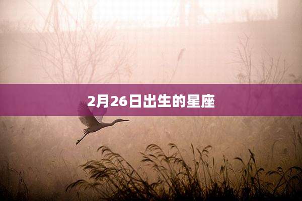 2月26日出生的星座