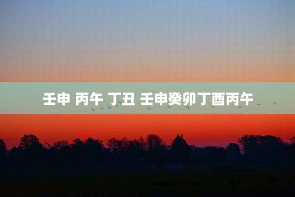 壬申 丙午 丁丑 壬申癸卯丁酉丙午