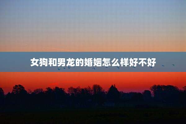 女狗和男龙的婚姻怎么样好不好