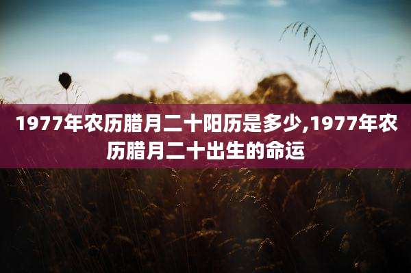 1977年农历腊月二十阳历是多少,1977年农历腊月二十出生的命运