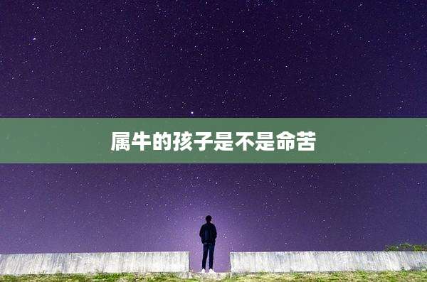 属牛的孩子是不是命苦